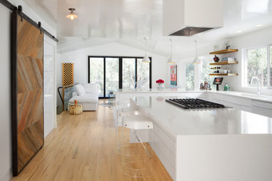 Example of a minimalist kitchen design in Denver