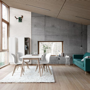 フランクフルトの中サイズの北欧風 LDKの画像 (グレーの壁、淡色無垢フローリング)