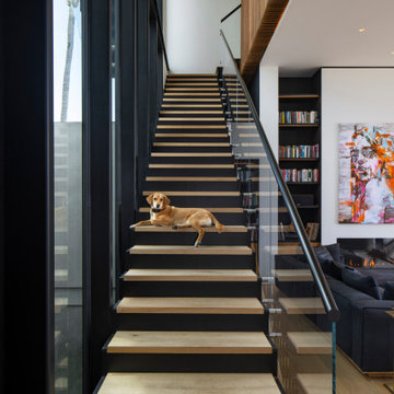 Stairway to the Stars