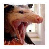 Marc Doten's photo