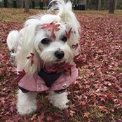 Delia Kwik's photo
