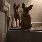 Jojo Pierecy's photo