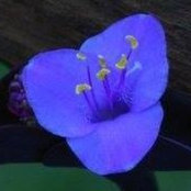 Lonnie Mathis's photo