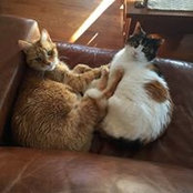 Cindy Eggo's photo
