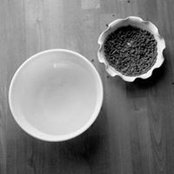Lori Borealis's photo