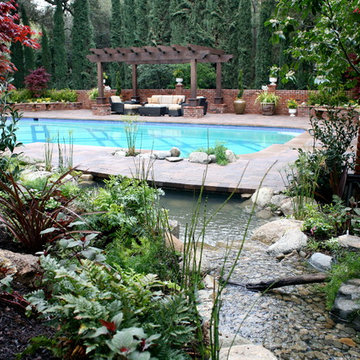 Pool and Pond Duo