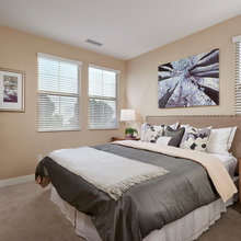 Basement BR