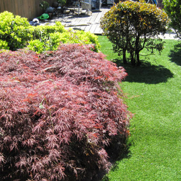 Synthetic Lawns