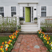 Landscape Ideas