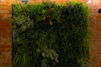 Outdoor Area Living Wall