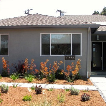 Cupertino Contemporary