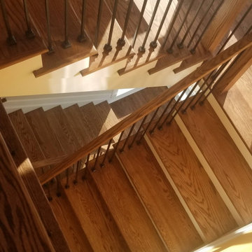 Crownsville Modern