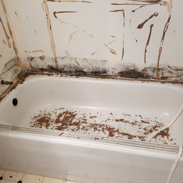 Main bathroom - During demo (tub surround removed)