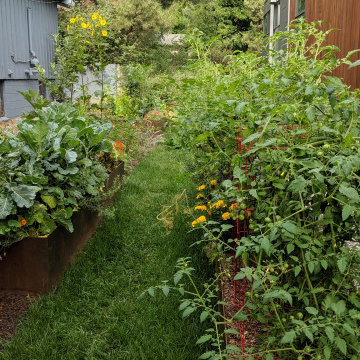 Pollinator Garden and Green Roof