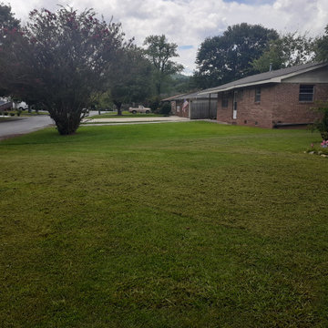 Lawn care