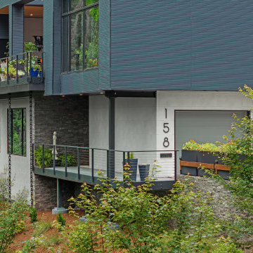 Wandering Oaks Modern