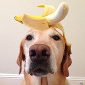 Lisa Friedman's photo