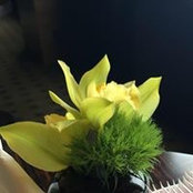 伊藤順子's photo