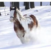 Vonda Holmes's photo