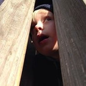 Elisabeth Chapman's photo