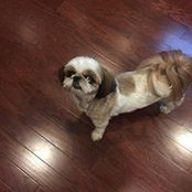 Robin Blackwell's photo