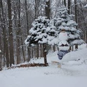Laura Davis's photo