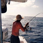 Francis McAlister's photo