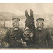 Foto von John Schroeder