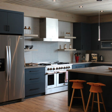 Blue Contemperary Kitchen