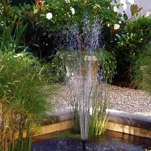cheryl2011's ideas-Landscape feature