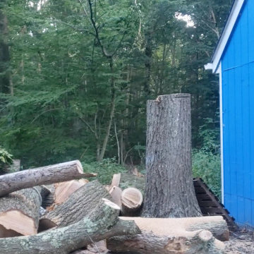 Deep River CT Tree Removal