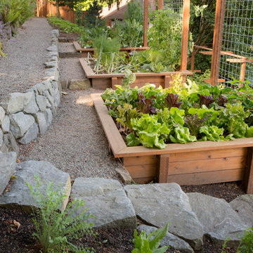 Josh and Dawn's full yard renovation