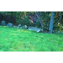 LAWN