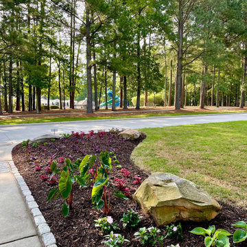 Spring and Summer Annuals Landscape Beds
