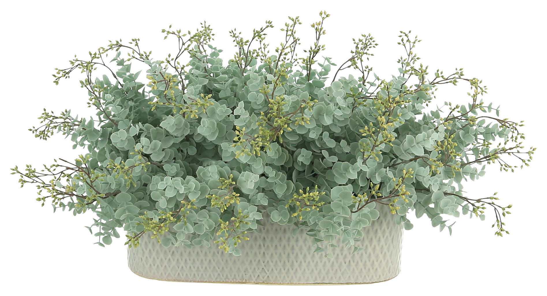 Seeded Eucalyptus Arrangement in an Oval Ceramic Pot - Artificial ...