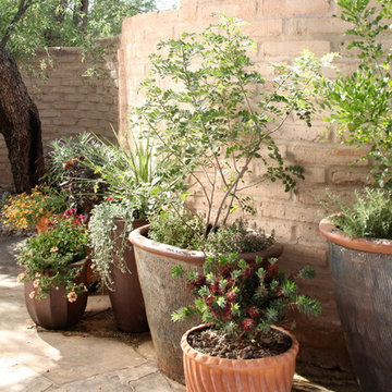 Garden Enclosures