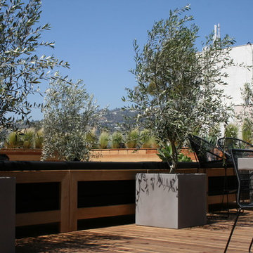 Roof deck & planter boxes/Landscaping.
