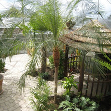 Domes