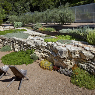 Contemporary xeriscape in Austin with gravel.