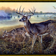 Hunter's Hideaway