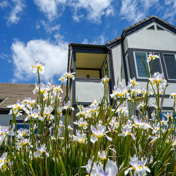 Roof, Stucco, Windows Installation & Paint / Entire Exterior Renovation