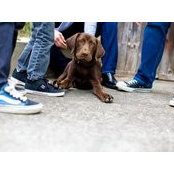 Lynn Hansen Carini's photo