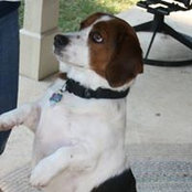 Denise Corzine's photo