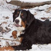 Carol Robinson's photo