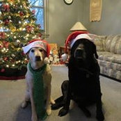 Kathy Desilets's photo