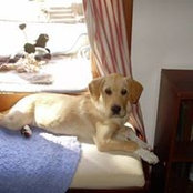 Foto von Barbara Guluzzy