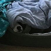 Claire Brown's photo