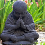 Jay Lupica's photo