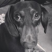 Dawson Davis's photo