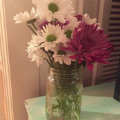 Alisha Sharie's photo